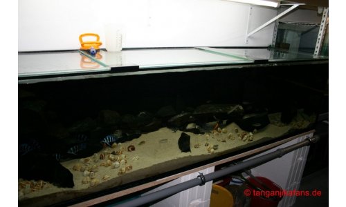 Schaubecken 900l